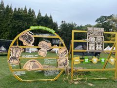 -宜兴龙背山森林公园