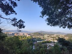 -火炉山森林公园
