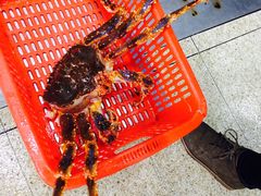 -蚝专家(北滘店)