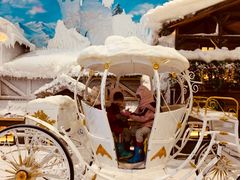 -世界之窗阿尔卑斯冰雪世界
