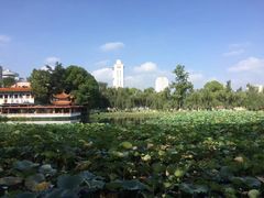 -云南省图书馆