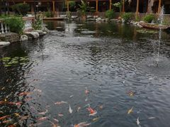 -大门水乡·顺德菜