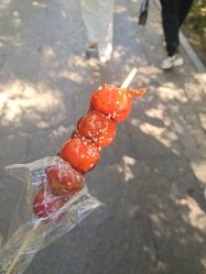 -玄武湖景区-情侣园游乐场