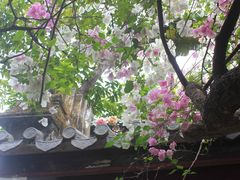 -深圳国际园林花卉博览园