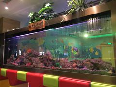 -御池园(顾村公园店)
