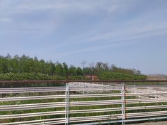 -春花秋色城市公园