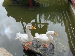 -唐城墙遗址公园