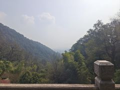 -韬光茶庵
