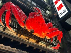 -蟹料理 北海道かに将軍(札幌本店)
