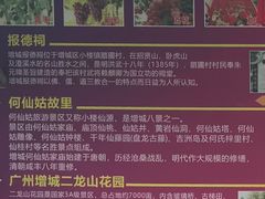 -荔枝红五号农庄