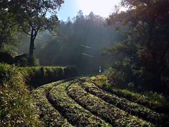 -塔川景区