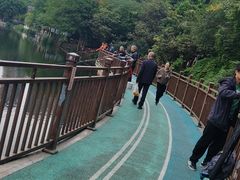 -重庆彩云湖湿地公园