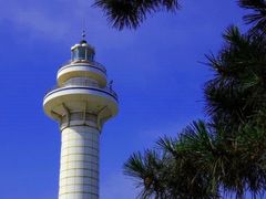 -渡海小渔村.老辈日照菜