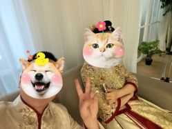 点击看大图 -金夫人婚纱摄影(总店)