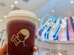多肉葡萄-喜茶(迪士尼小镇DP店)