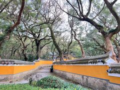 -普陀山风景区-佛顶山
