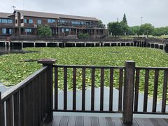 -新木器时代餐厅(太湖新天地店)