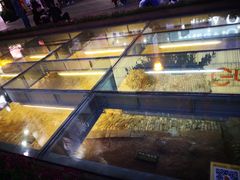 -北京路步行街-千年古道遗址