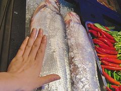 -忆江南·临江鱼馆