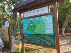 -泗洪洪泽湖湿地景区