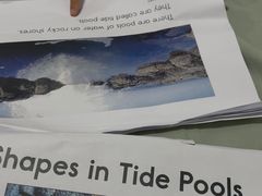 -奇尔思青少儿·语言·艺术·演讲(顾戴路店)