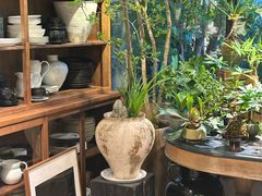 -自由生长植物工作室(深港花卉中心店)