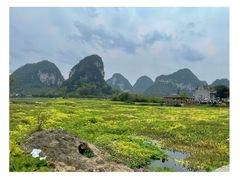 -靖西鹅泉风景区