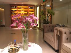 -东英经典SKIN&SPA
