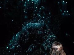 -怀托摩萤火虫洞