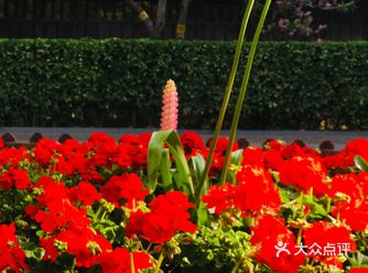 双秀公园 小时候的记忆