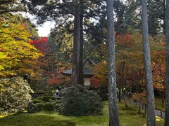 -三千院