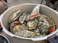 -蚝山·喷汽火山生蚝(前福路店)