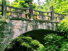 -凤栖山