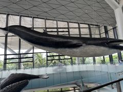 -中国（海南）南海博物馆