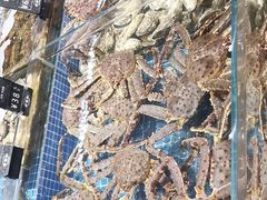 -将相和·海鲜蒸饺大连菜