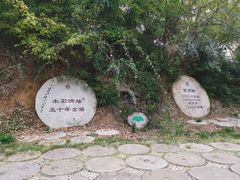 -千年银杏谷文化旅游区