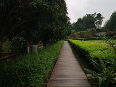 -洪湖家庭农场·团建·露营·会议