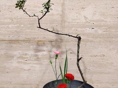 -九华山聚龙大酒店