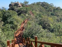 -大岭沟猕猴桃谷风景区