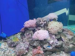 -蓬莱欧乐堡海洋极地世界