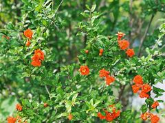 -天津东丽湖风景区