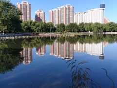 -莲花池公园