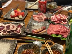 -火烈鸟
