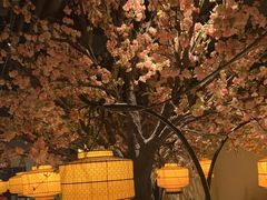 -绿茶餐厅(昌平悦荟店)