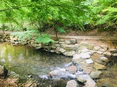 -东航云逸酒店(九溪烟树店)