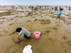 -渡海小渔村.老辈日照菜