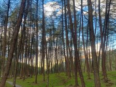 -硗碛藏寨·神木垒景区