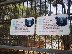 -昆明动物园