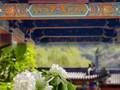 -华清宫景区
