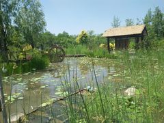 -武清南湖绿博园